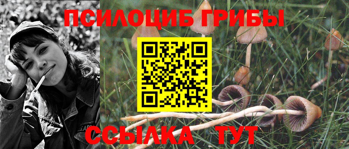 Псилоцибиновые грибы GOLDEN TEACHER  Вход с VPN  наркота  Луга 