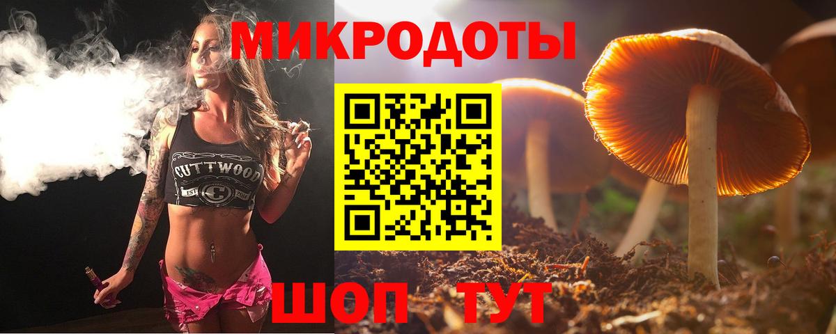 Псилоцибиновые грибы MAGIC MUSHROOMS Луга