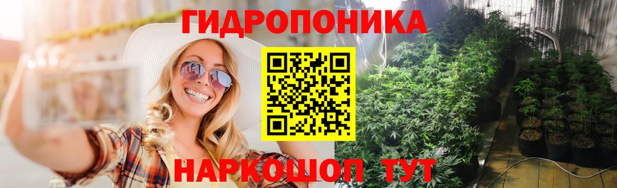 Бошки Шишки план  Марихуана VHQ  Вход с VPN  Марихуана Bruce Banner  Луга 
